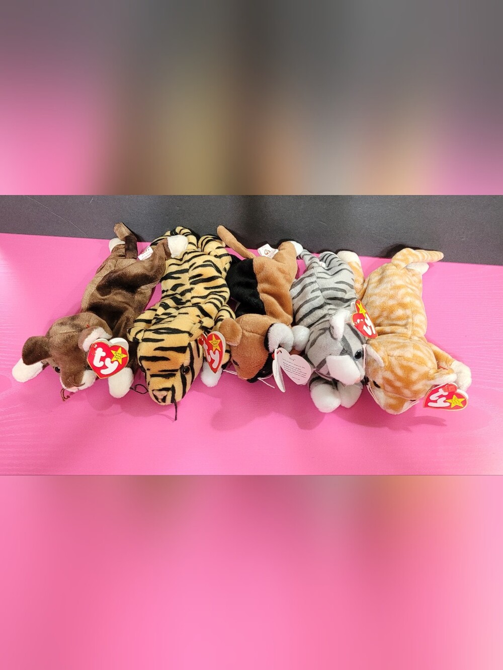 Ty Beanie Babies Cats Set Of 5 (1707)